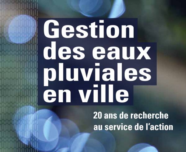 Gestion-des-eaux-pluviales-en-ville.jpg